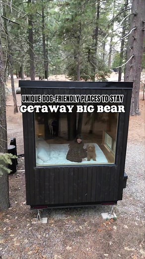 Pet-Friendly Tiny Cabins in Getaway Big Bear, Running Springs, CA