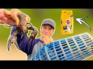 Crayfish Fishing - Fish vs Dog Food (What Works Best?!) | Team Galant