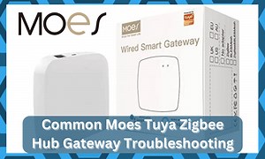 12 Common Moes Tuya Zigbee Hub Gateway Troubleshooting - DIY Smart Home Hub