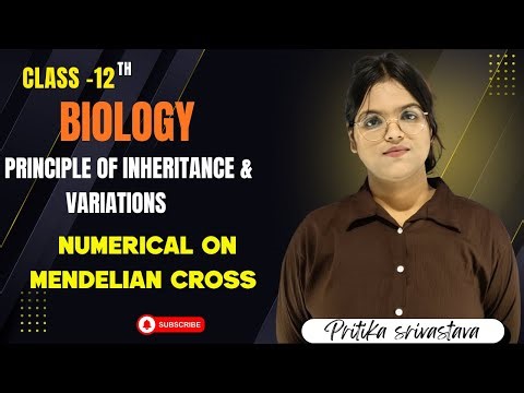 Numerical on mendelian cross class 12 II Biology by Pritika srivastava
