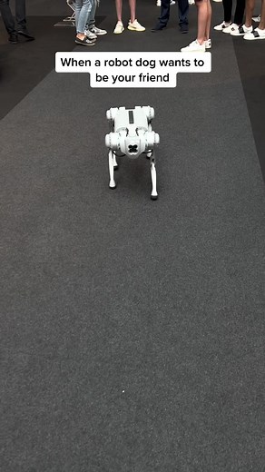 Robo Monaco: Exploring the World of Robot Dogs in Monaco