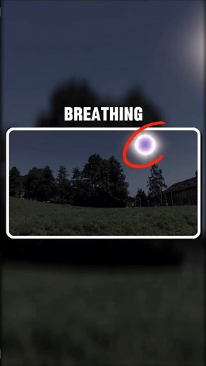 What If the Sun Exploded Right Now? 😱 #spaceexploration #sunexplodes #cosmopulse