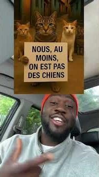 Chat vs Chien 🤣#tdf #humour #buz #mdr #drôle #chat #chien #versus #combat #dispute #guerre #conflit