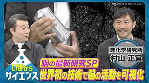 脳の活動を可視化する光学顕微鏡を開発！ 理化学研究所　村山正宜さん｜いまからサイエンス|テレ東BIZ