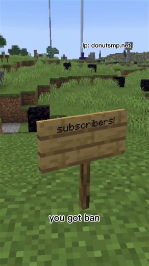 This Sign Will Get You Banned ⚠️ #minecraft #donutsmp