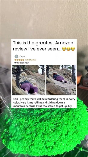 Greatest Amazon Review Ever?