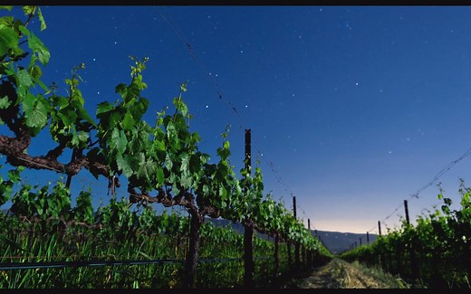 Dolby Atmos(杜比全景声)蓝光演示片【60帧】