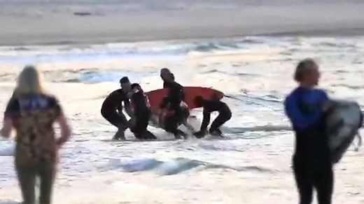 Surfer killed in suspected shark attack off Australia's Gold Coast