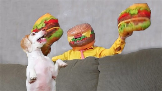 A dog confronts a cheeseburger-themed prank character
