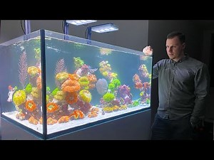 LUXURY REEF TANK 4K + Building an exclusive LPS Corals Aquarium - *Reef Art & Design*