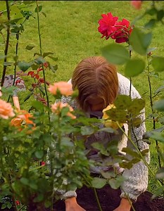 45K views · 334 reactions | #movieclips #filmtok #filmclips #scenefromamovie #tvshowedits #moviesceneedits #filmedits #movieedits (43) | Movie Scene | Facebook