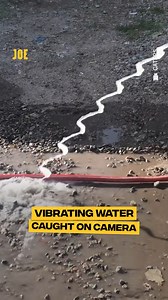 The way it changes shapes 🤯 | Comedy JOE