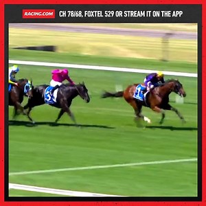 Milton Park from start to finish. Not a worry in the world for Damien Oliver, a terrific performance from the horse. 👌 | Racing.com