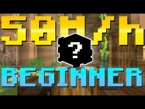 The BEST Money Making Method For BEGINNERS!!! (Hypixel Skyblock)