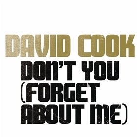 American Idol Exit Song! David Cook Covers "Don't You Forget About Me" (Listen to THE FULL VERSION!)