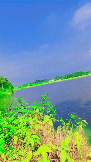 jhuma (@juma749)’s videos with original sound - NiloY Khan Dc