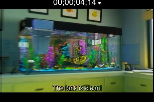 Finding Nemo Foley Project