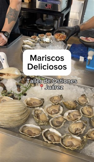 Taller de Ostiones CDMX: los mejores mariscos y conchas frescas