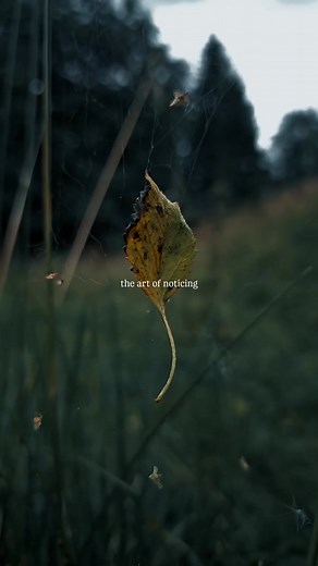 12K views · 415 reactions | Johan David Buran | John Steed | Facebook