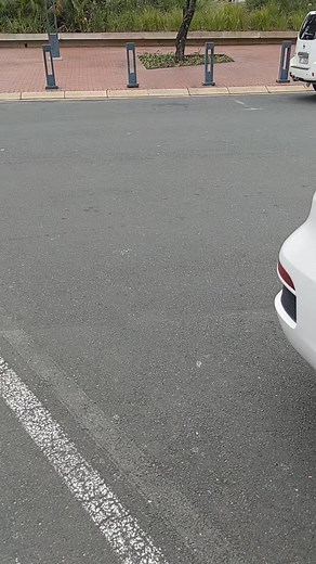 Triplets TikTok Dance Compilation