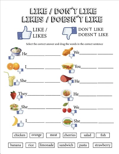 Like-likes don-t like doesn-t like worksheet