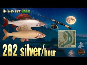RF4 Grayling Spot — 282 Silver/Hour on Belaya River 🎣 Coords & Setup