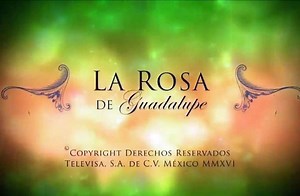 ''La rosa de Guadalupe' - Tráiler Oficial - Televisa