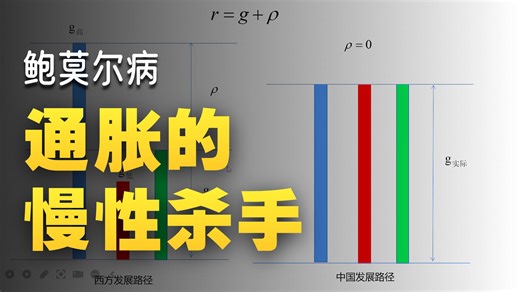 经济学欧拉方程与结构性通胀的关系，如何做到无痛苦GDP增长，理解了欧拉方程你才能理解费雪效应，经济增长模型才能内生出名义变量和通货膨胀，高级宏观经济学
