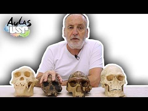 A Saga da Humanidade -- Aula 5 (Ardipithecus ramidus)