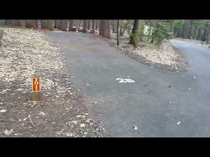 Camping at Bushytail campground Trinity Lake