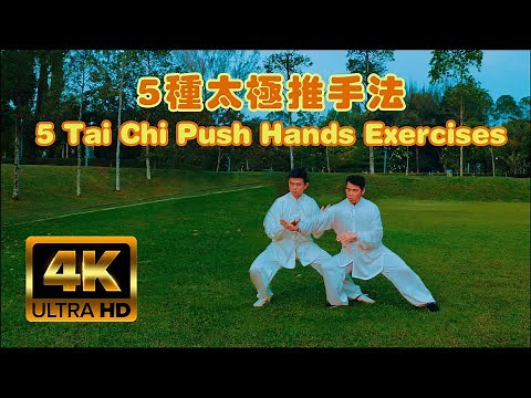 5 Tai Chi Push Hands Exercises 5种太极推手法