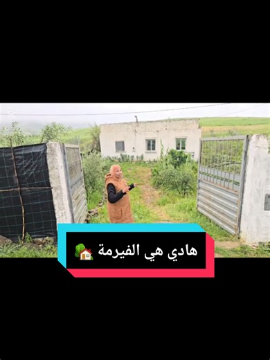 الهجرة إلى كندا: تجارب ونصائح
