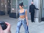 Dua Lipa steps out in New York wearing a skimpy denim crop top