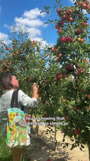 Apple Picking at Beasley's Orchard in Danville, IN