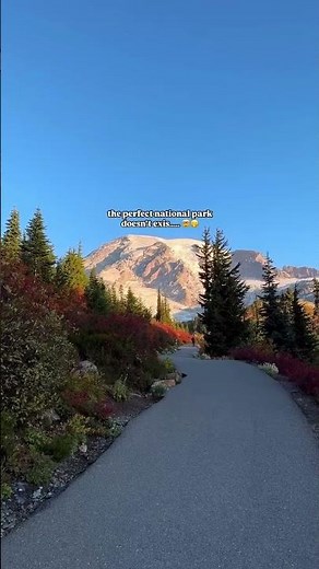 The only Mount Rainier National Park guide you need for 2025 👇 save this travel guide for future