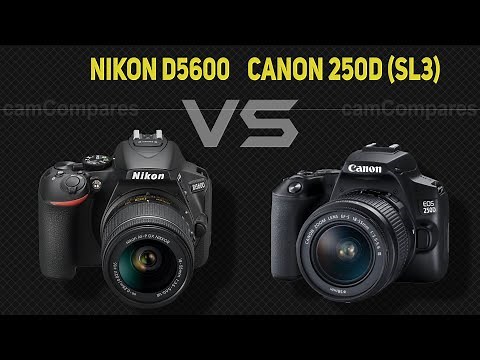 Nikon D5600 vs Canon 250D (SL3) [Camera Battle]