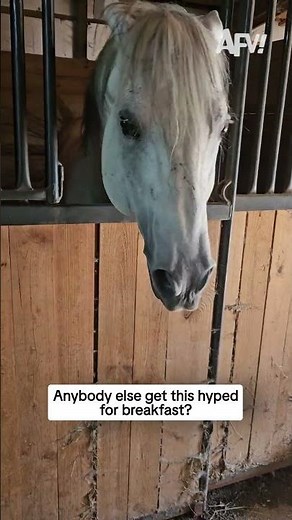 Anyone ever get this hyped for breakfast?