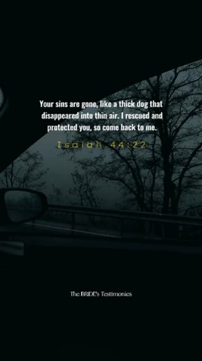 By faith in Christ, when He sees us He doesn't see our sin 😇🤍 . . . #thebridestestimonies #christianreels #MakingJesusViral #fyp #WordOfGod #LivingForChrist #christianmotivation #godsays #bibleverses #inspirational #ServingGod #bibleverseoftheday #scripture #encouragement #PraiseGod #journaling #Amen #jesuschrist #God #havefaith #GodIsGreat #Godslove #GodsGrace | The BRIDE's Testimonies