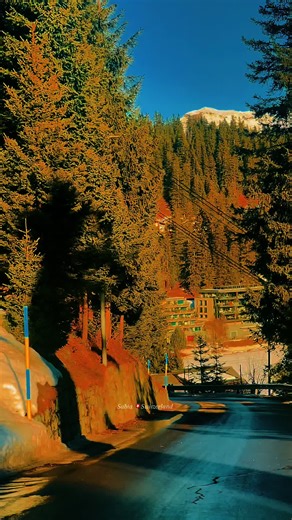 Discover the Scenic Beauty of Switzerland's Nature