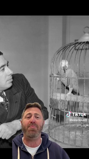 Wild Parrots of Los Angeles: How They Got Here