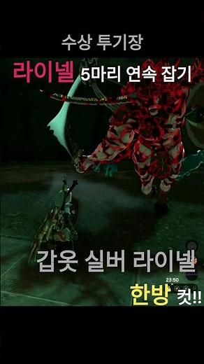 [젤다 왕눈] 수상투기장 라이넬 모두 잡기
