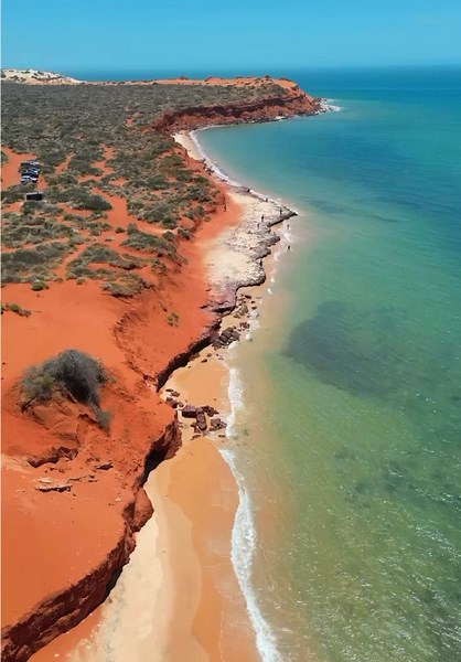 Discover the Wonders of Shark Bay, Western Australia