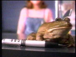 YTV Commercial Break (December 1996)