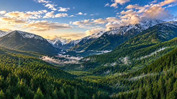 Vancouver rainforests beneath snow-capped mountain peaks