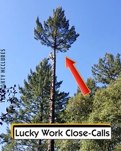 31K views · 109 reactions | Lucky Work Close-Calls | The Mighty McClures | Facebook