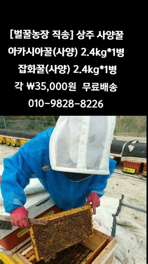 [똑손산지직송]성주 사양 아카시아꿀,잡화꿀 선택해주세요