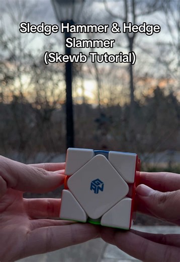 Sledge Hammer & Hedge Slammer Skewb Tutorial