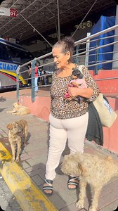 10K reactions · 2.2K comments | ¡Ayudemos por favor!  En el...