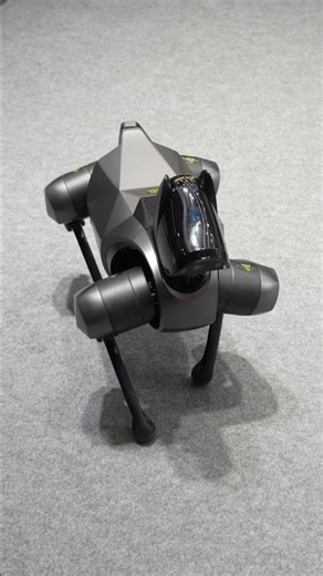 This Robot Dog aims to REPLACE your Actual Dog!