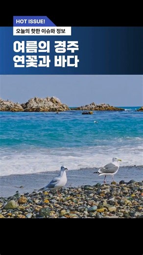 "아침엔 연꽃, 오후엔 바다"…7월 경주, 하루가 즐거운 여름 여행
